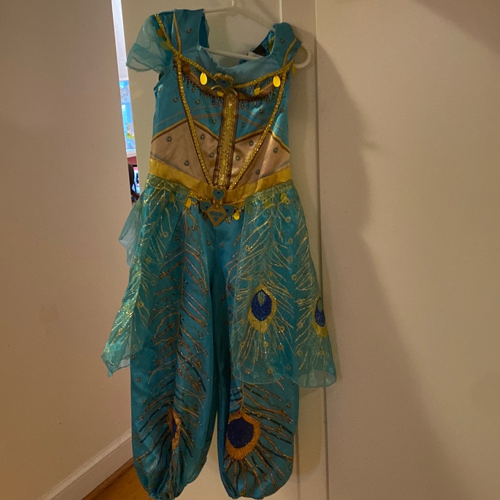 Disney Jasmine costume from Aladdin